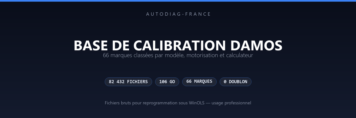 Fichiers DAMOS par marque : où les trouver et comment les utiliser avec WinOLS, INCA et CANape